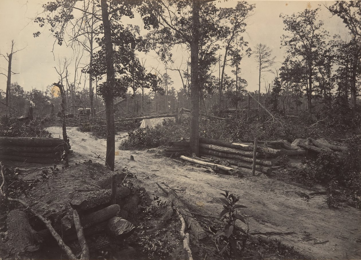 Campo de Batalha da Igreja Nova Esperança, Geórgia No. 1, década de 1860. de George N. Barnard