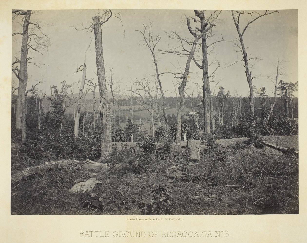 Campo de batalha de Resacca, GA, n.º 3 de George N. Barnard