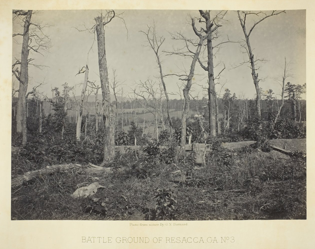 Campo de Batalha de Resacca, GA, nº 3, 1866. de George N. Barnard