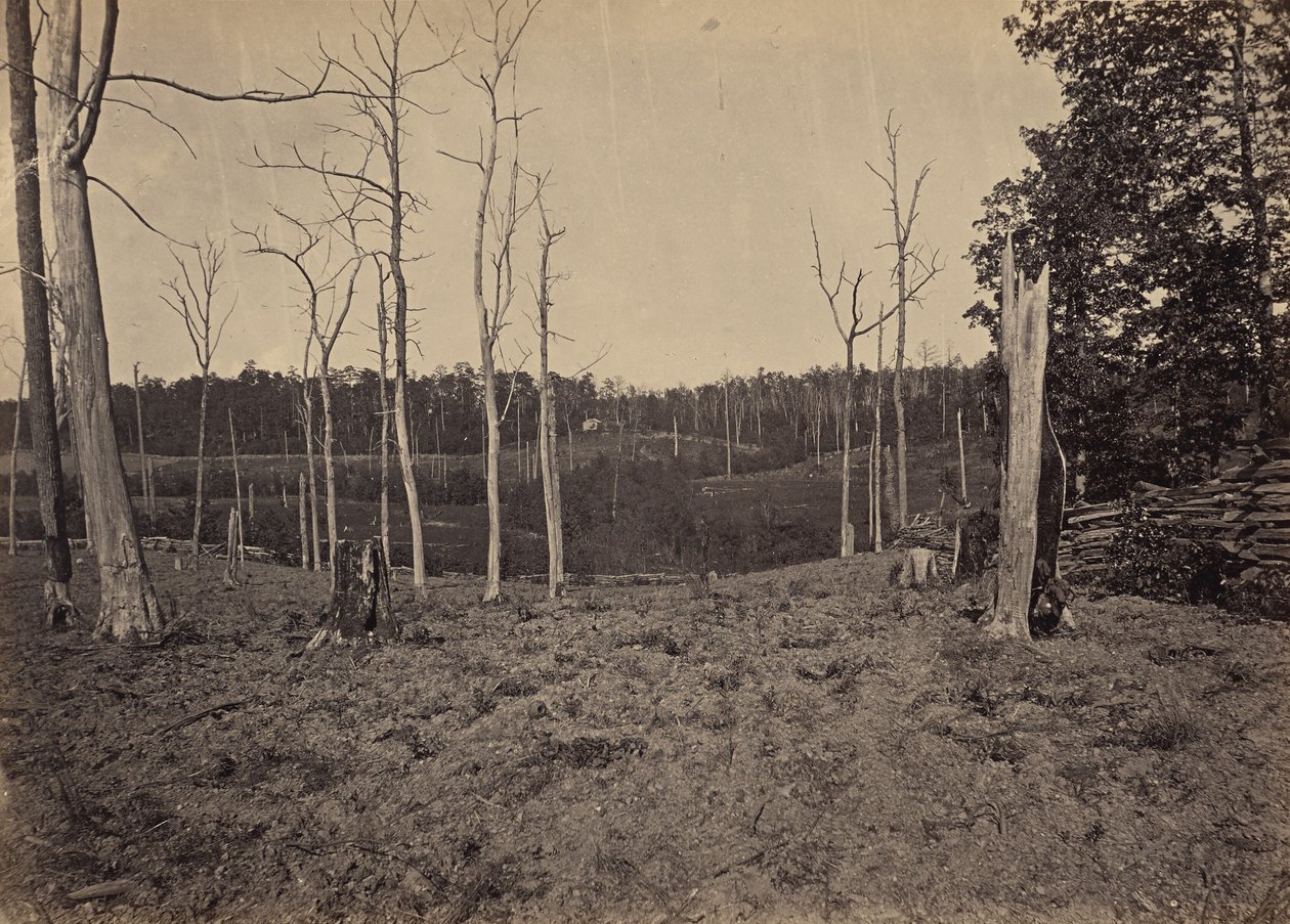 Campo de batalha de Resacca, Geórgia, n.º 1 de George N. Barnard