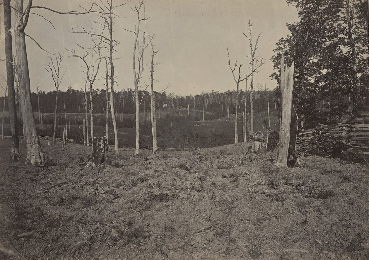 Floresta. de George N. Barnard