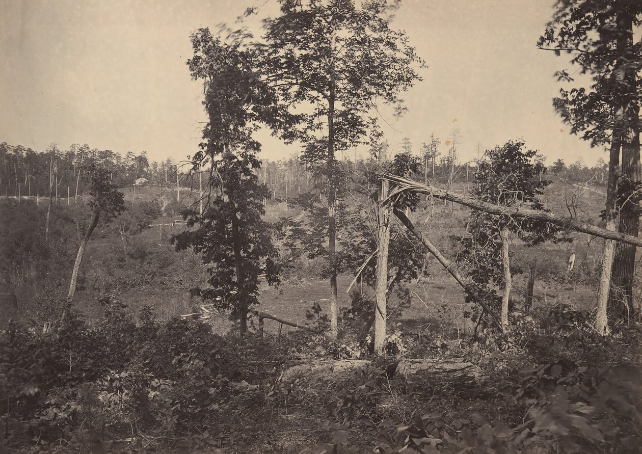 Campo de Batalha de Resacca, Geórgia No. 2, década de 1860. de George N. Barnard
