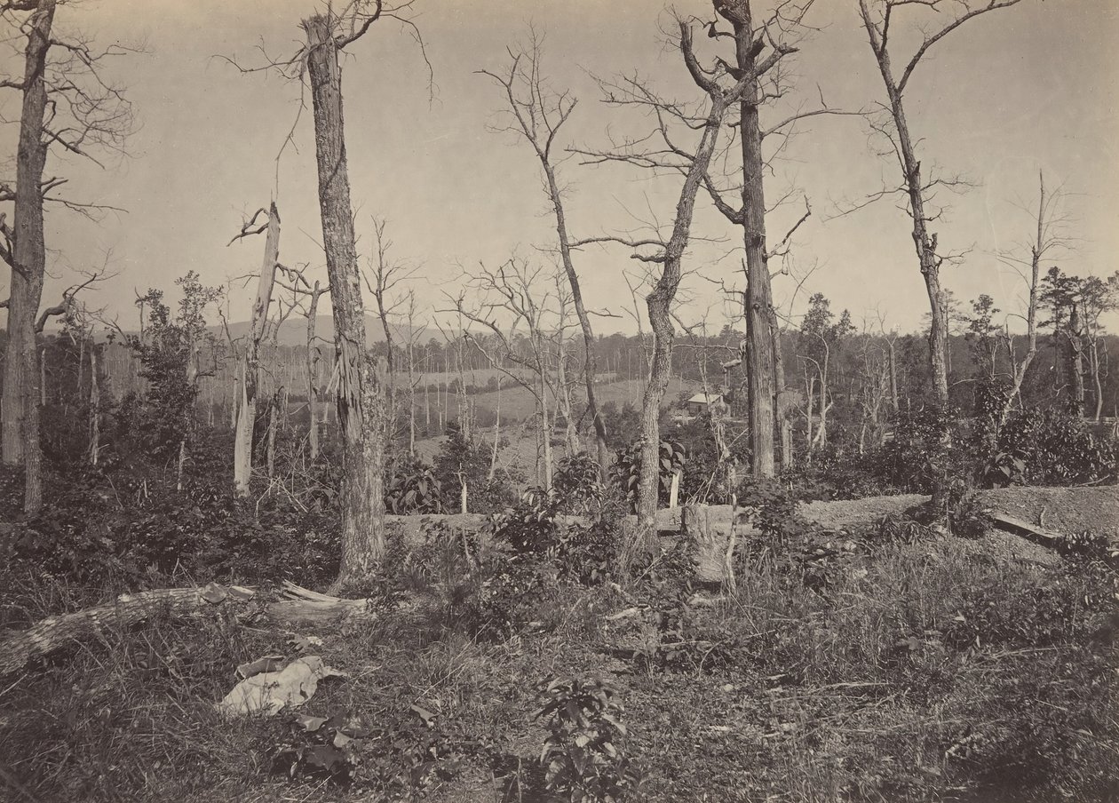 Campo de Batalha de Resacca, Geórgia No. 3, década de 1860. de George N. Barnard