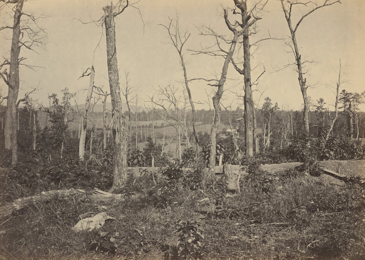 Campo de batalha de Resaca, Geórgia, n.º 3 de 1864 (foto) de George N. Barnard