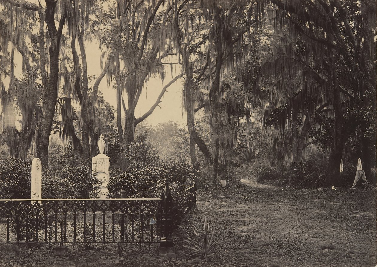 Boaventura, Savannah, Geórgia, década de 1860. de George N. Barnard