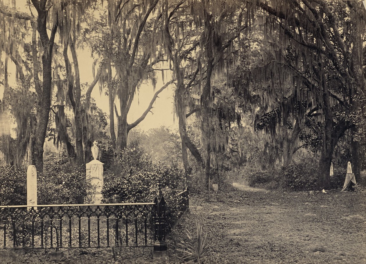 [Buen-Ventura, Savannah, Geórgia] de George N. Barnard