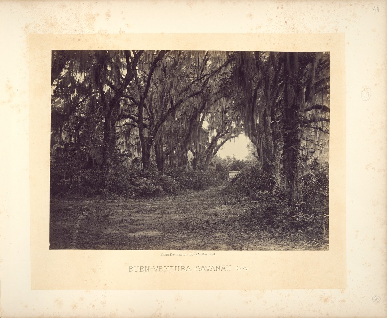 Buen-Ventura, Savannah, Geórgia de George N. Barnard