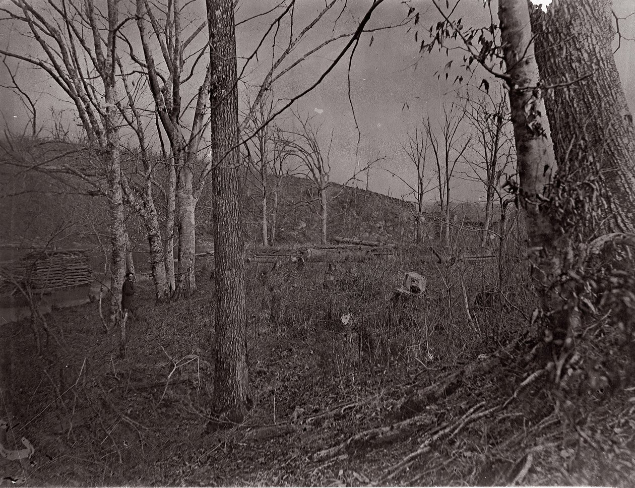 Bull Run, Virgínia, 1861-62. de George N. Barnard