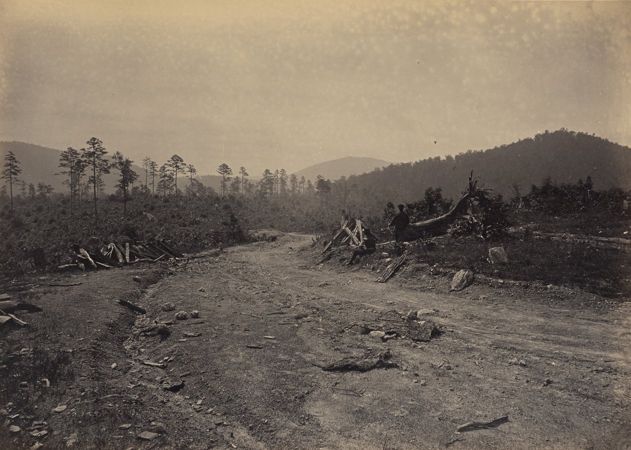 Buzzard Roost, Geórgia de George N. Barnard