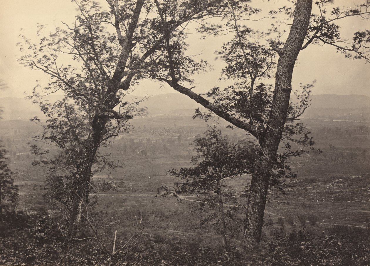 Botão de pomar de Mission Ridge, 1864-1866. de George N. Barnard