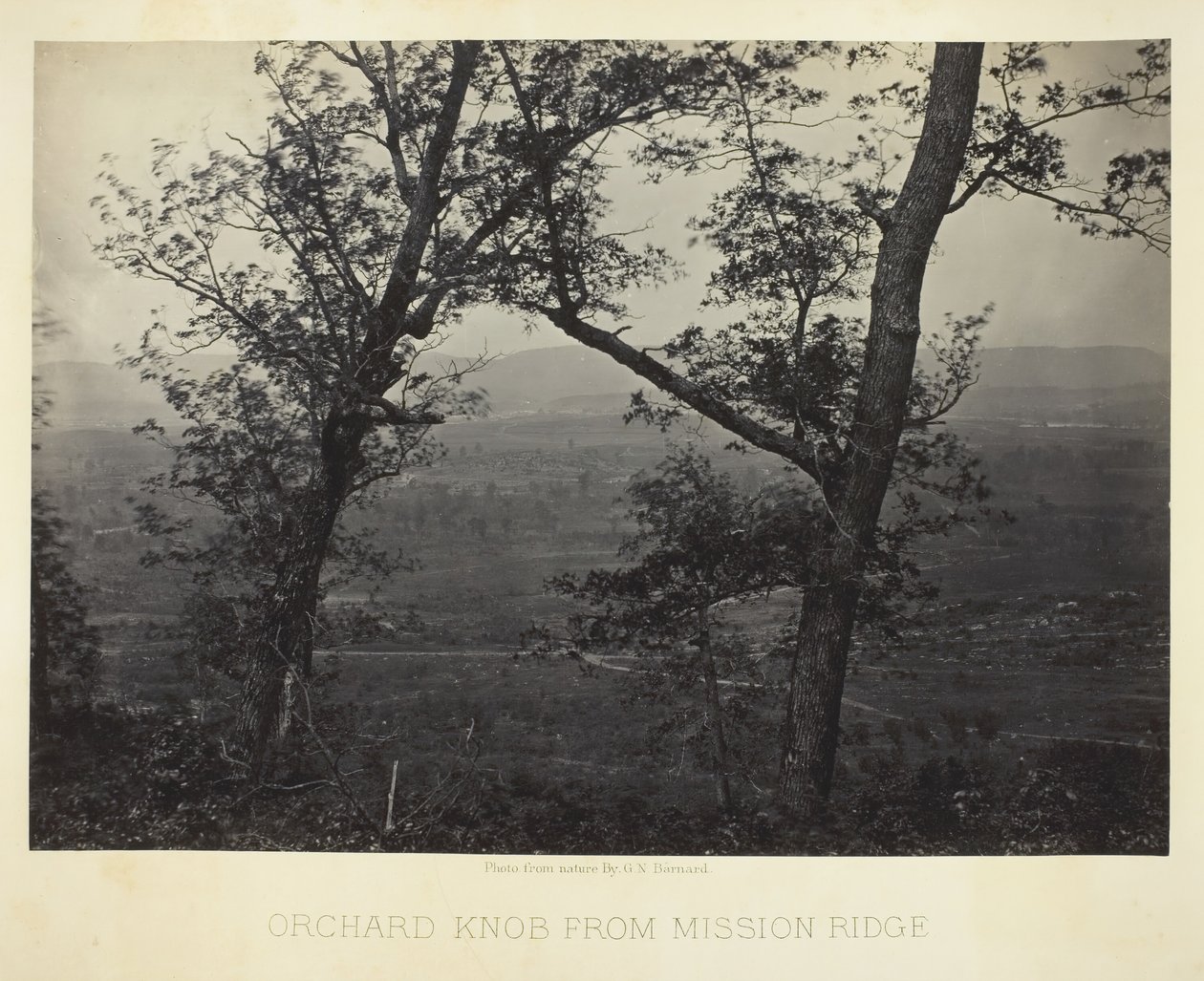 Botão do pomar de Mission Ridge, 186466. de George N. Barnard