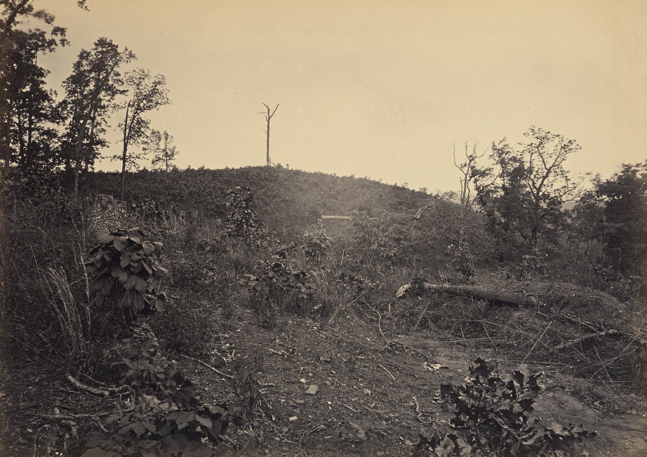 Pine Mountain de George N. Barnard