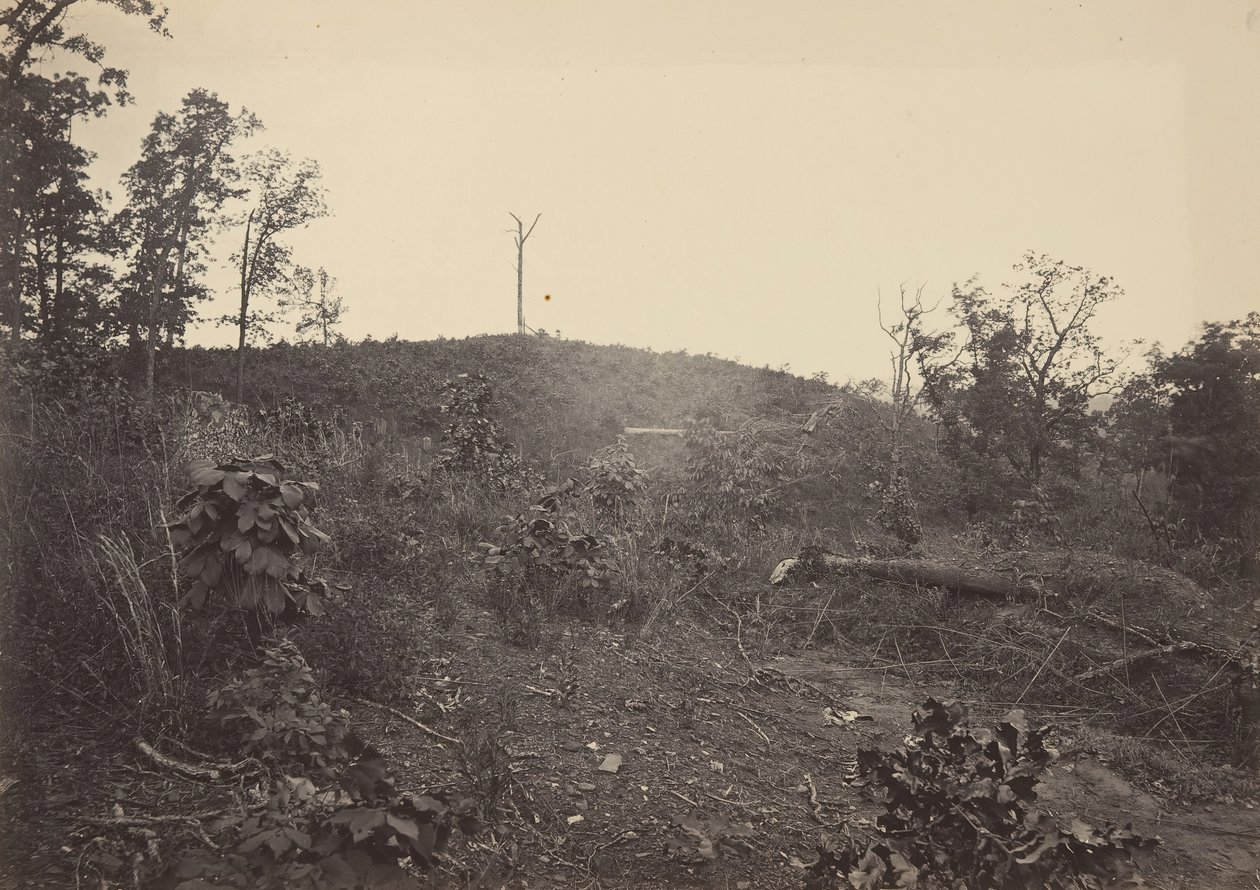 Montanha do Pinheiro, década de 1860. de George N. Barnard