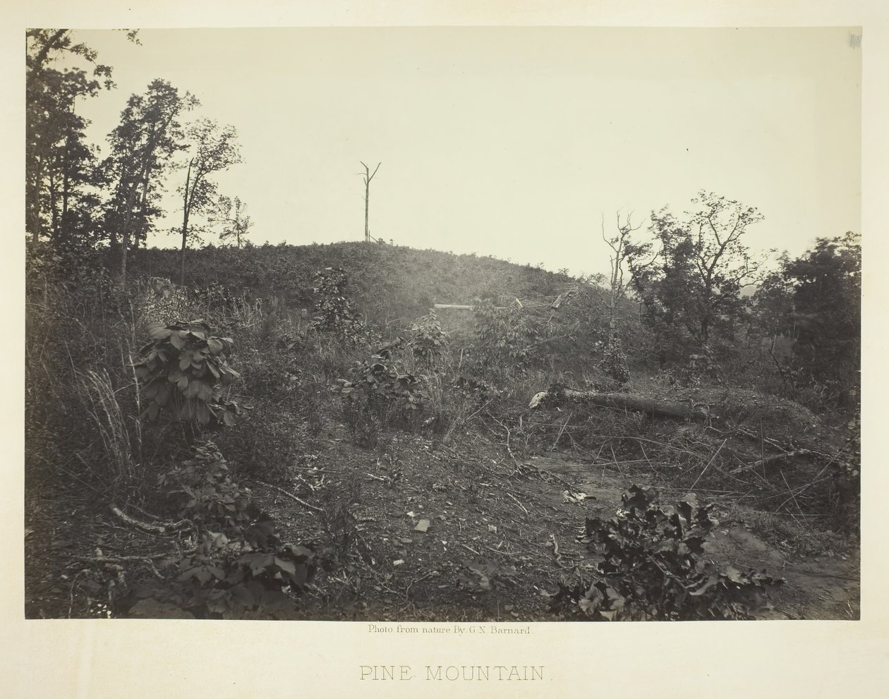 Montanha do Pinheiro, 1866. de George N. Barnard