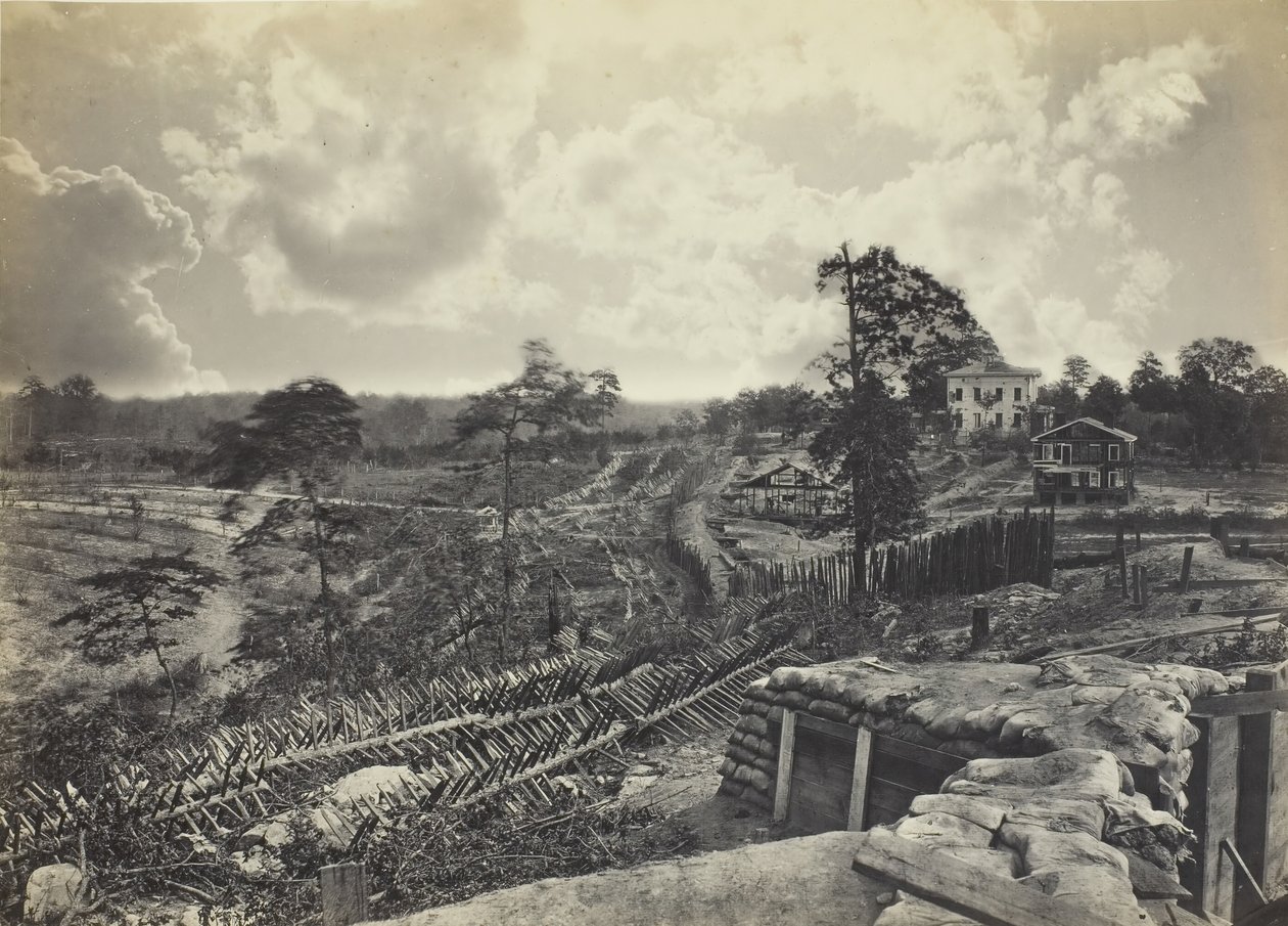 Floresta. de George N. Barnard