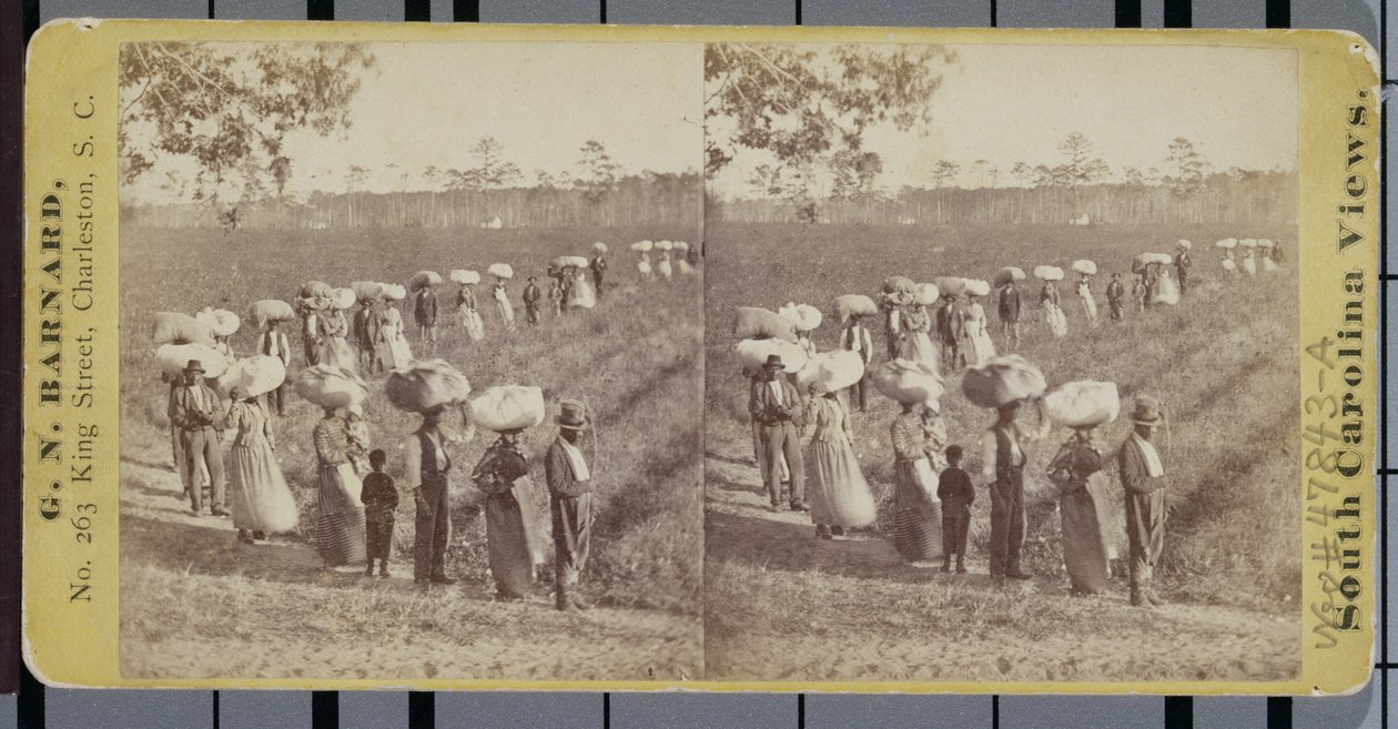 Retornando do Cottonfields na Carolina do Sul (estereógrafo) de George N. Barnard