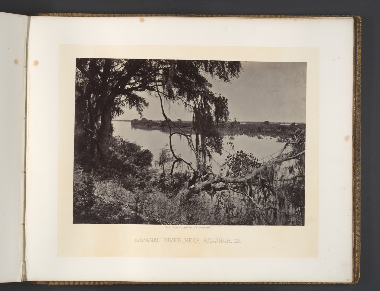 Rio Savannah, perto de Savannah, Geórgia de George N. Barnard