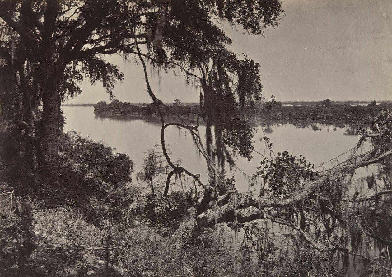 Rio Savannah, perto de Savannah, Geórgia, década de 1860. de George N. Barnard