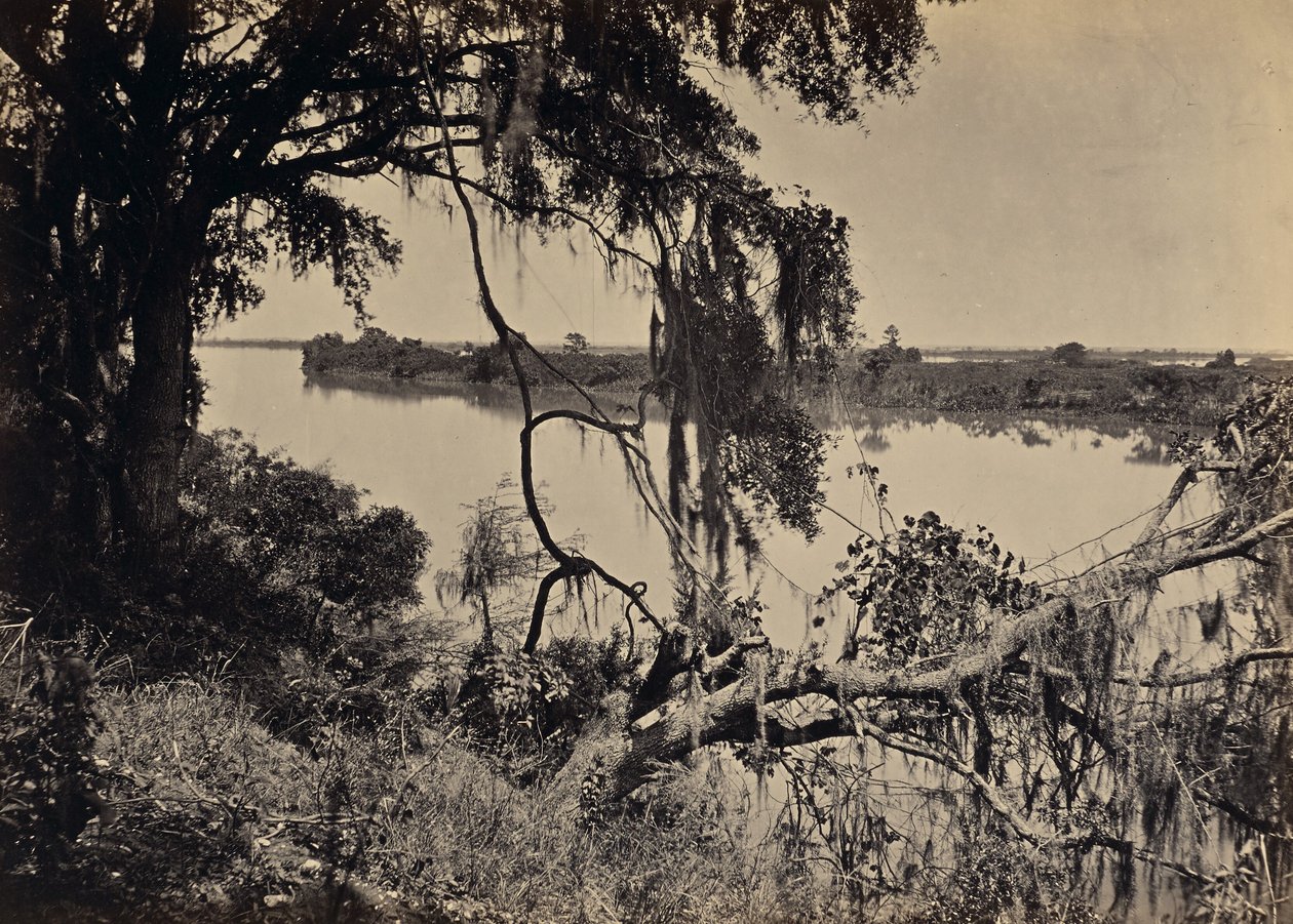 [Rio Savannah, perto de Savannah, Geórgia] de George N. Barnard