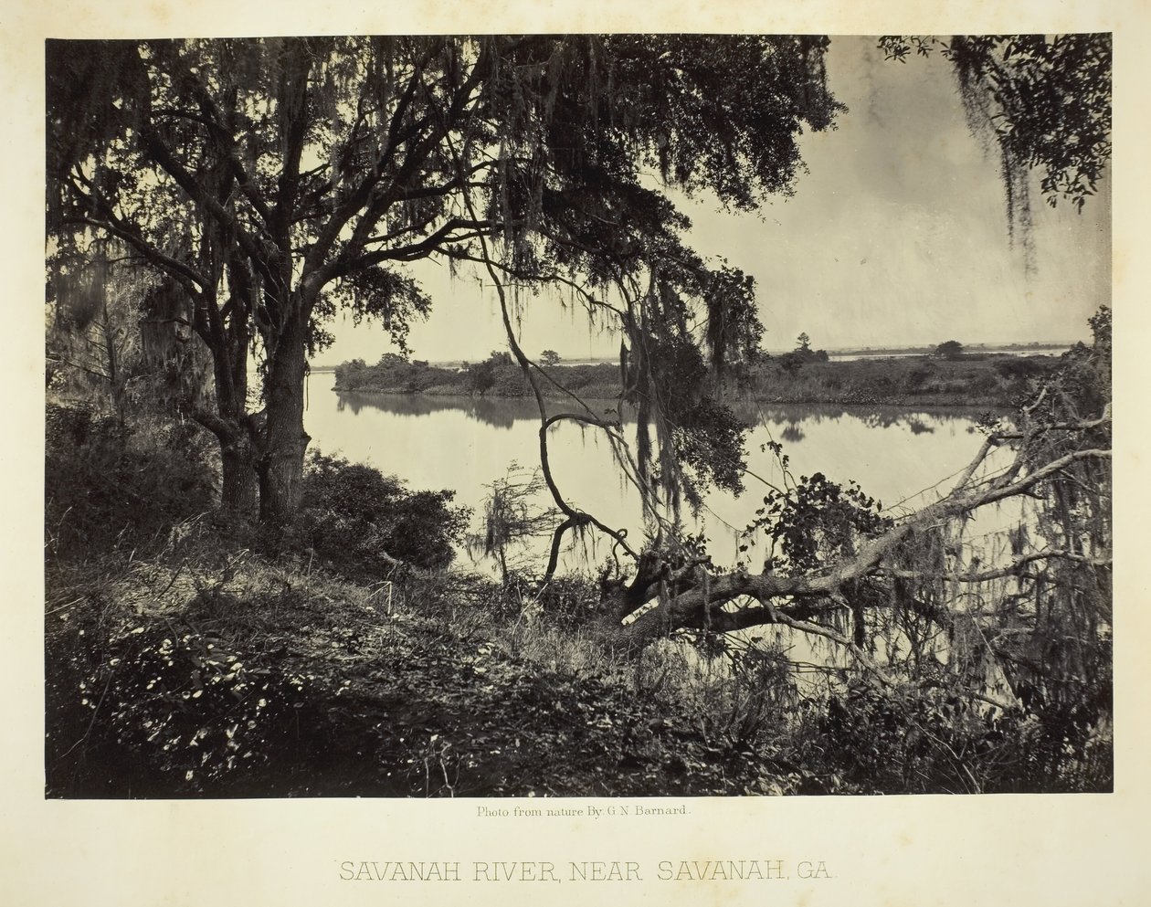 Savannah River, perto de Savannah, GA, 1866. de George N. Barnard