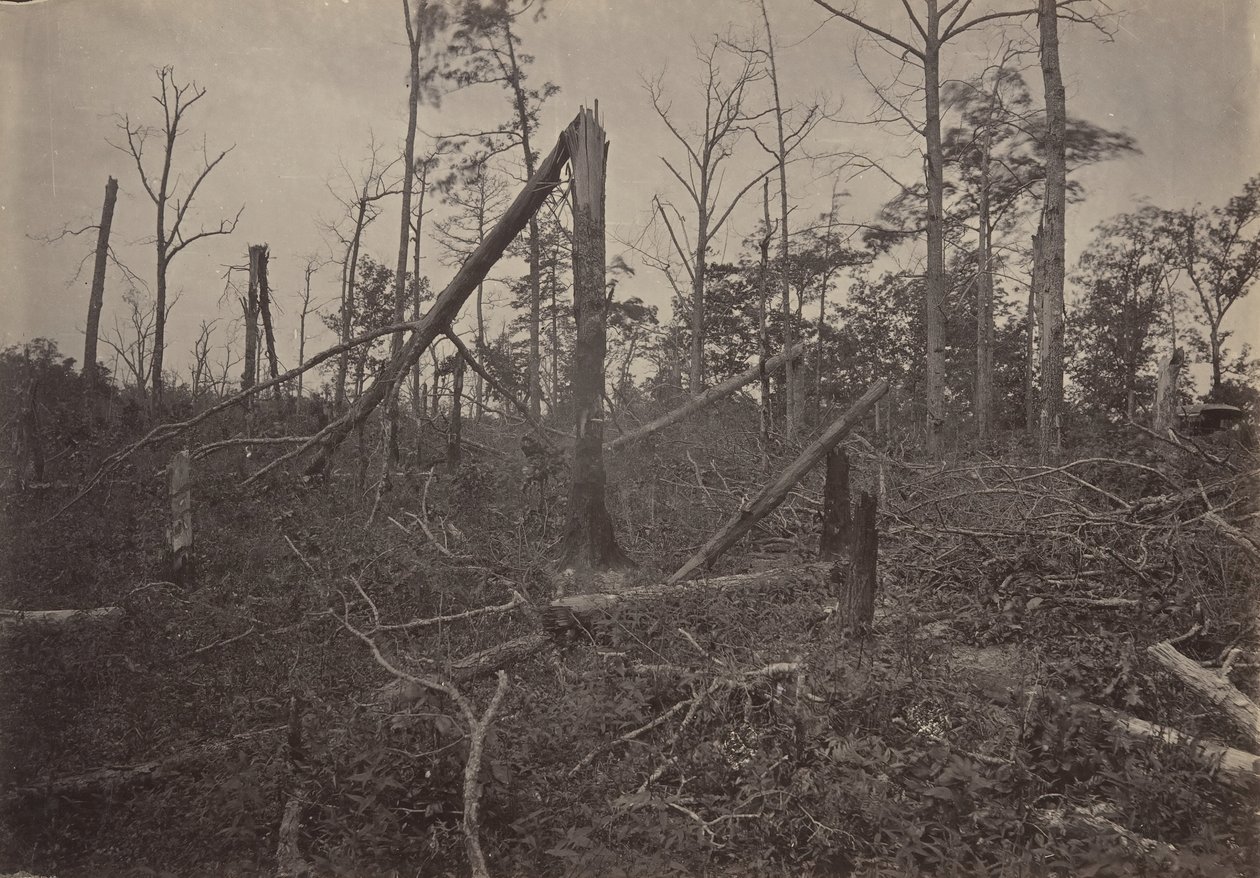 A Igreja Hell Hole New Hope, Geórgia, década de 1860. de George N. Barnard
