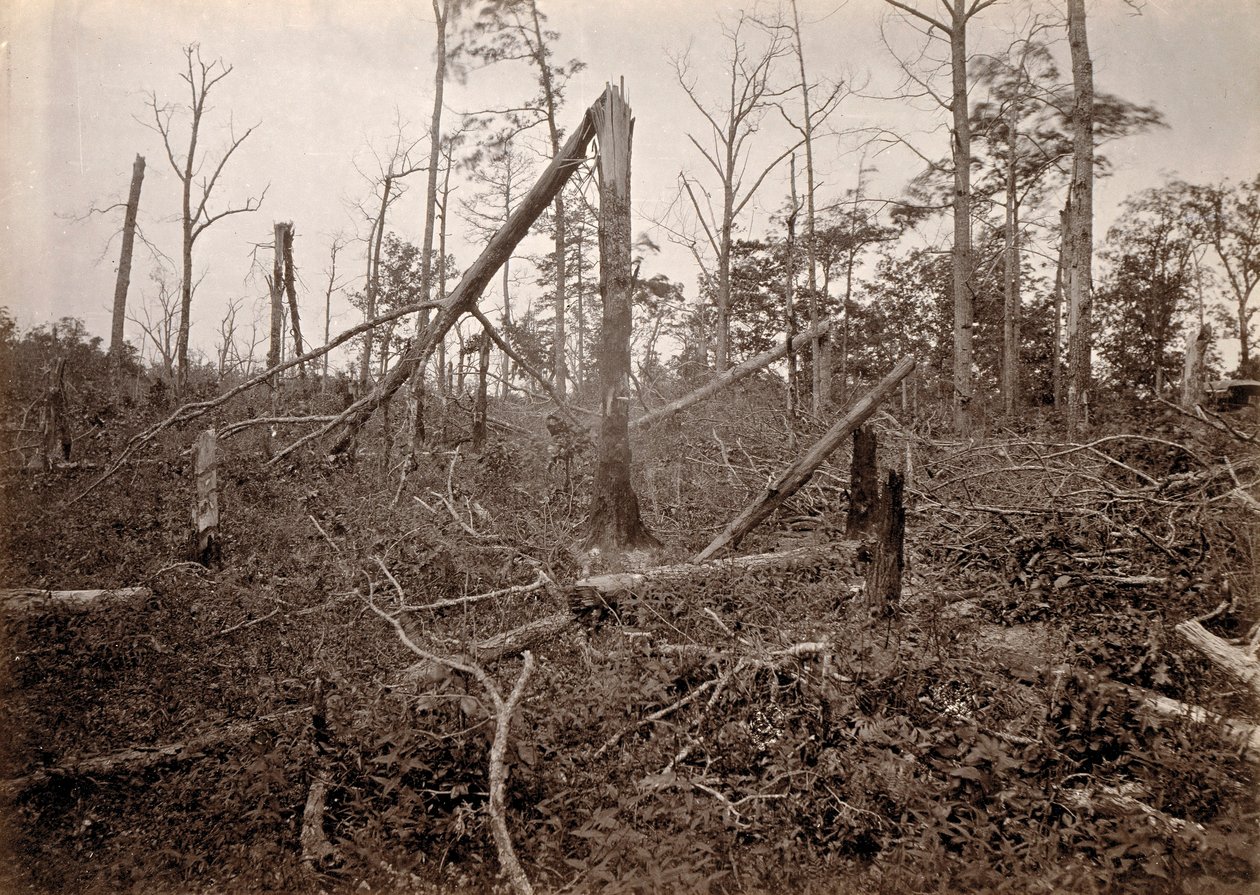 The "Hell Hole", New Hope Church, Geórgia, de Photographic Views of Sherman