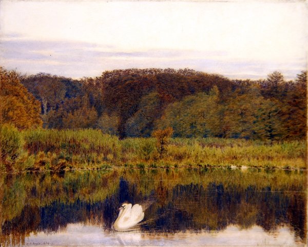 Abinger Mill Pond, Surrey- Manhã no Final do Outono (aguarela sobre papel) de George Price Boyce