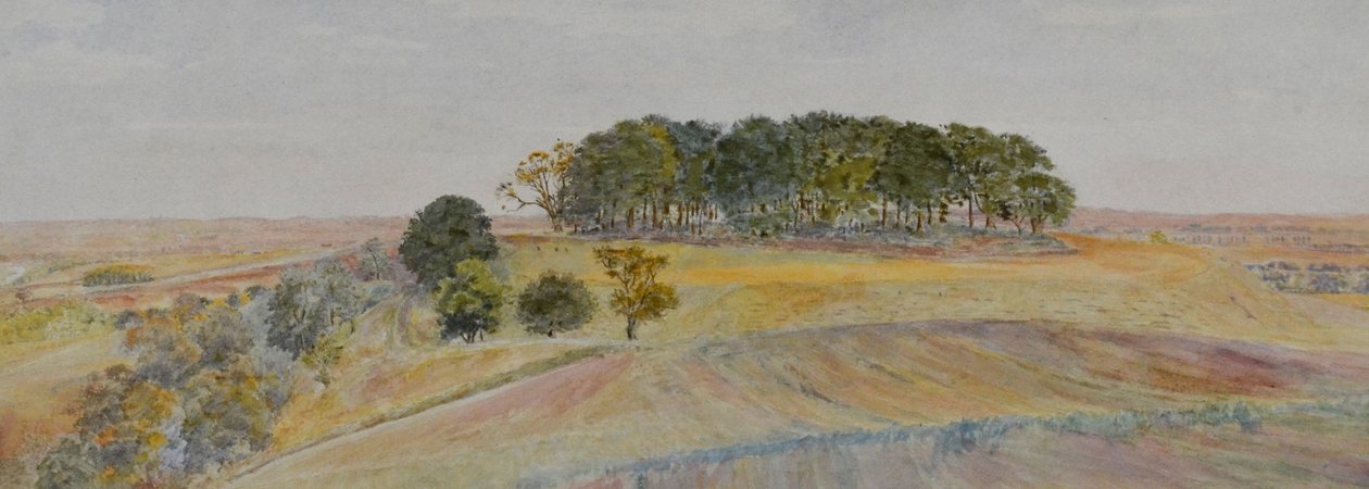 Uma das colinas de Wittenham ou Sinodun Hills, Berkshire, c.1870-90 (aguarela) de George Price Boyce