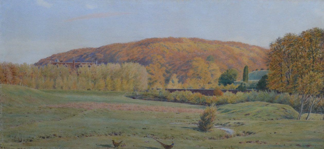 Wotton House, Surrey de George Price Boyce