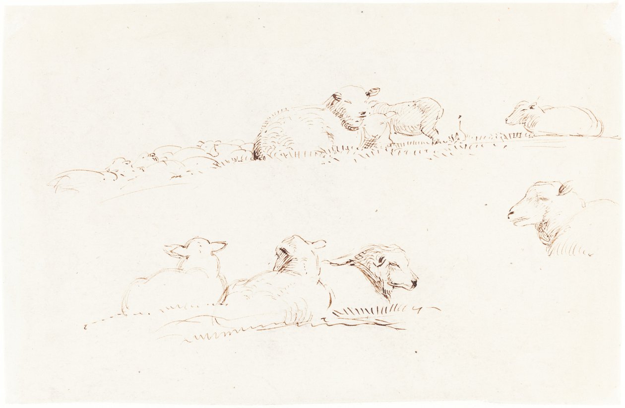 Estudos de ovelhas no pasto de George Richmond