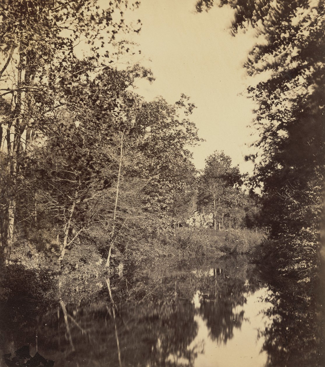 The Dell,1863 (foto) de George Rockwood Gardner