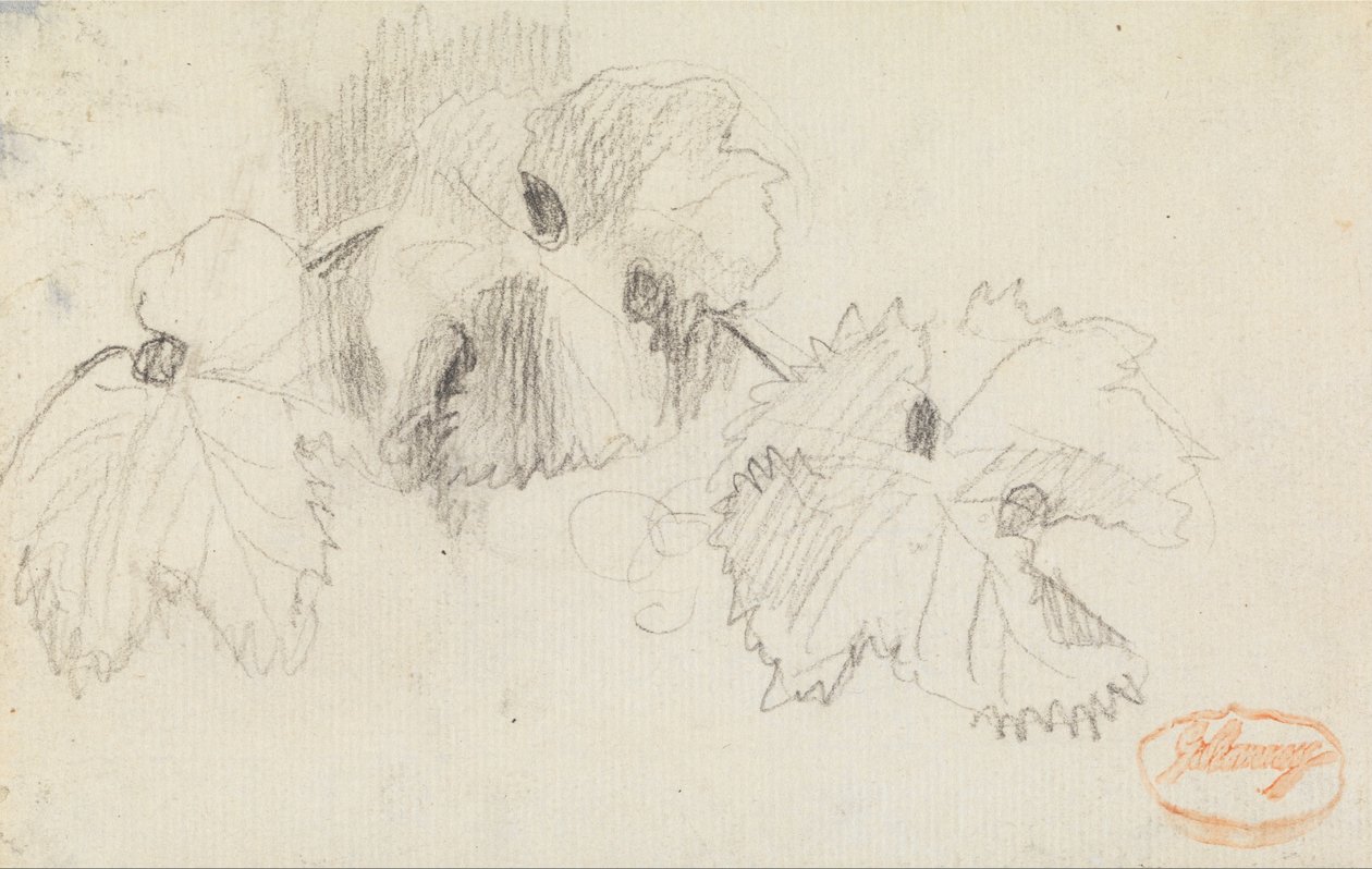 Folhas 1 de George Romney