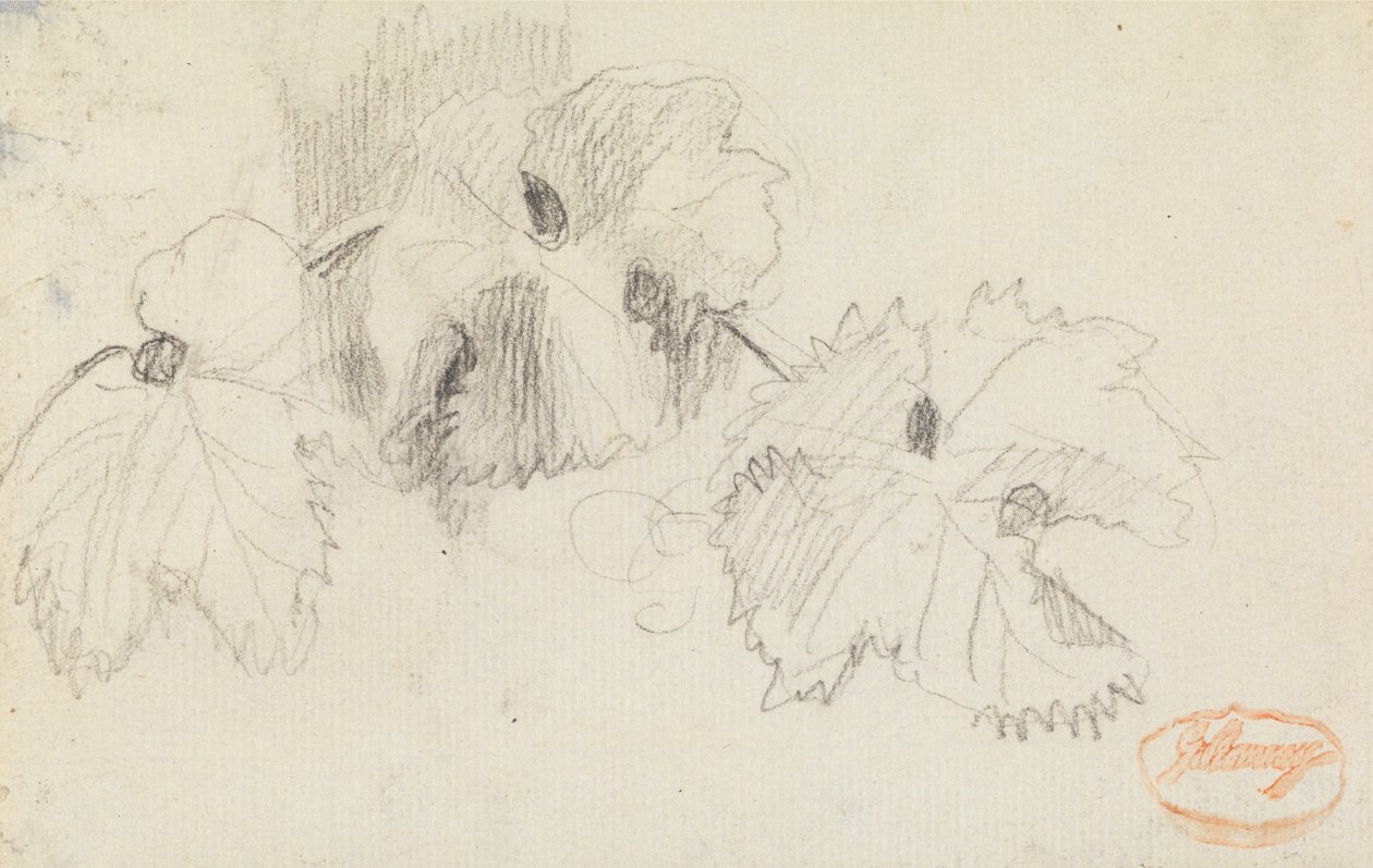 Estudo das Folhas 1 de George Romney