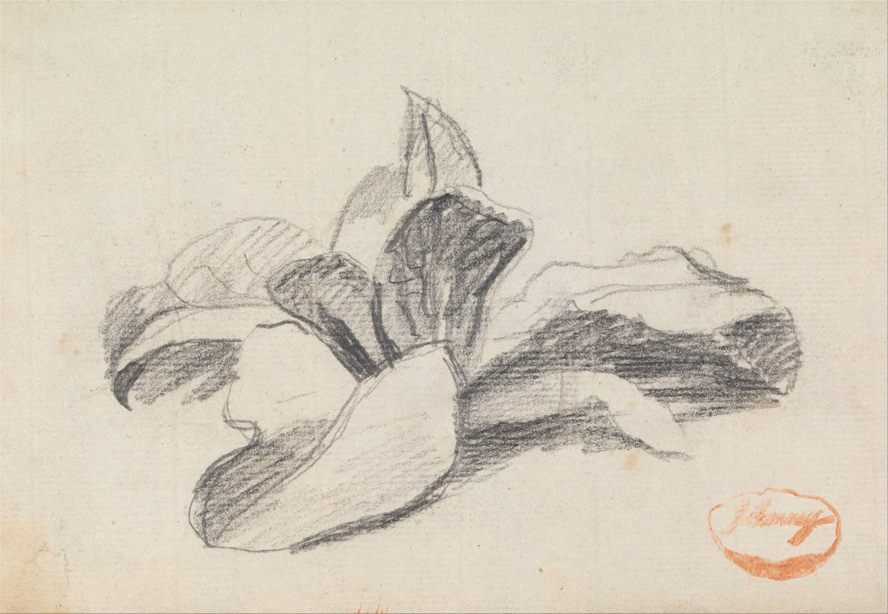 Estudo das folhas 2 de George Romney