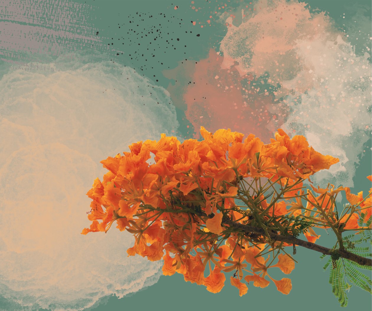 Royal Poinciana "El Flamboyan" (digital) de George Rosaly