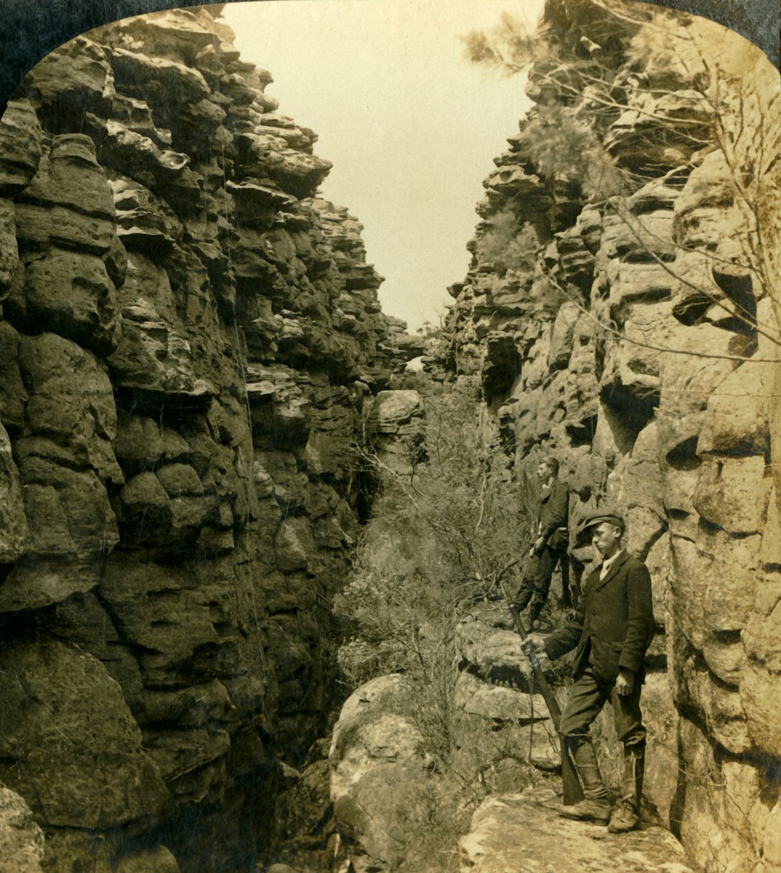 Wonderland Avenue, ou a Silent Street, Grampians, Victoria, Austrália, 1908. de George Rose