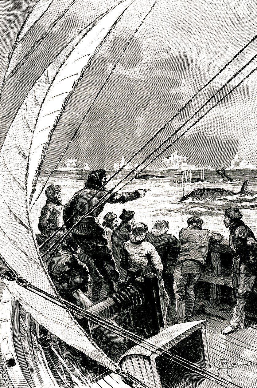 No mar em direcção ao Polo: a tripulação de um navio (veleiro) vê um grupo de baleias. Ilustração do romance de Jules Verne (1828-1905) "" The Ice Sphinx "". de George Roux