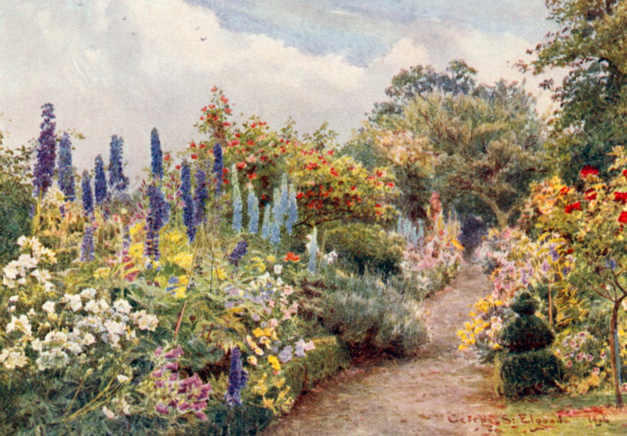 Larkspurs (litografia a cores) de George Samuel Elgood