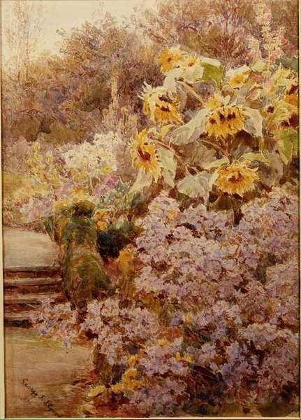 Girassóis numa fronteira herbácea de George Samuel Elgood