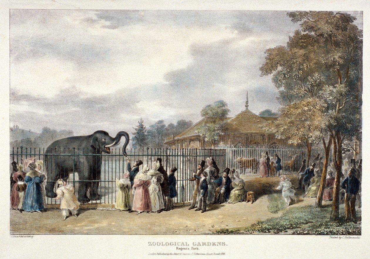 Jardins Zoológicos, Regent