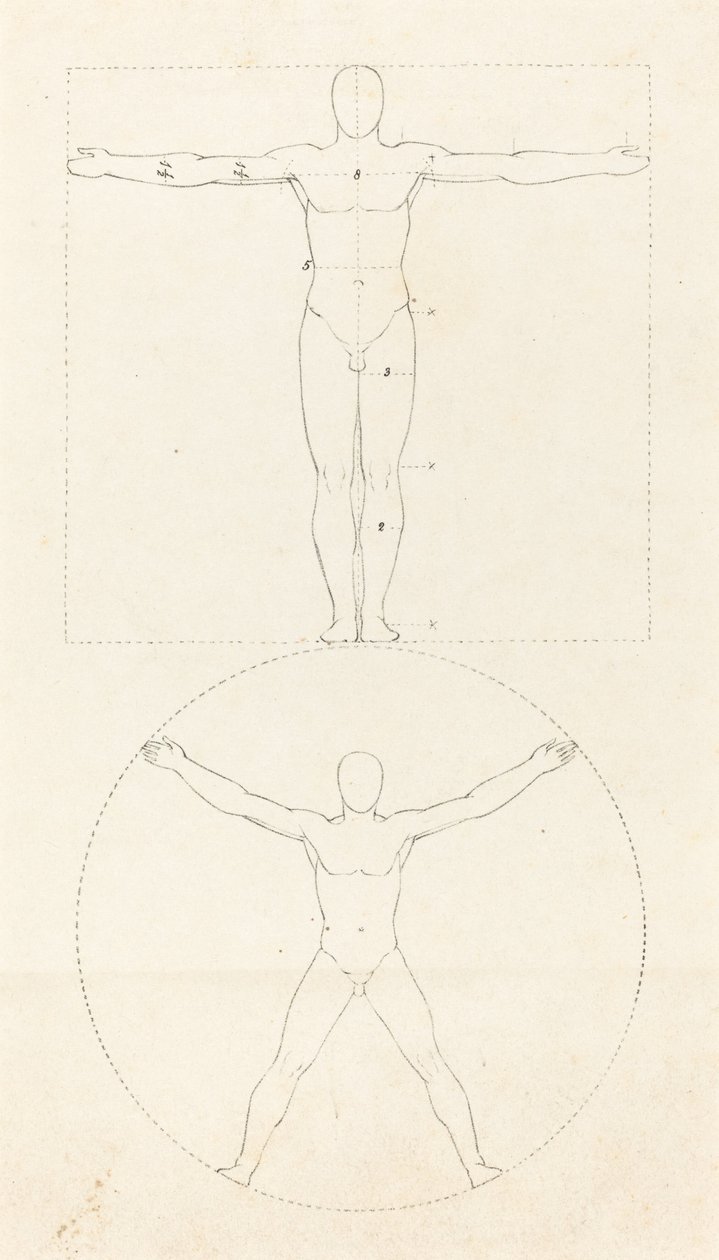 Círculo e Quadrado da Figura Humana de George Scharf after John Flaxman