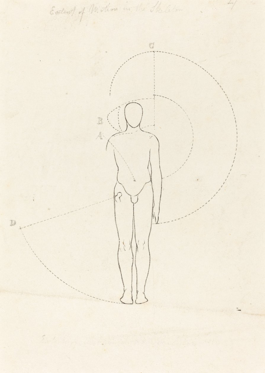 Extensão do Movimento, Uma Figura de George Scharf after John Flaxman