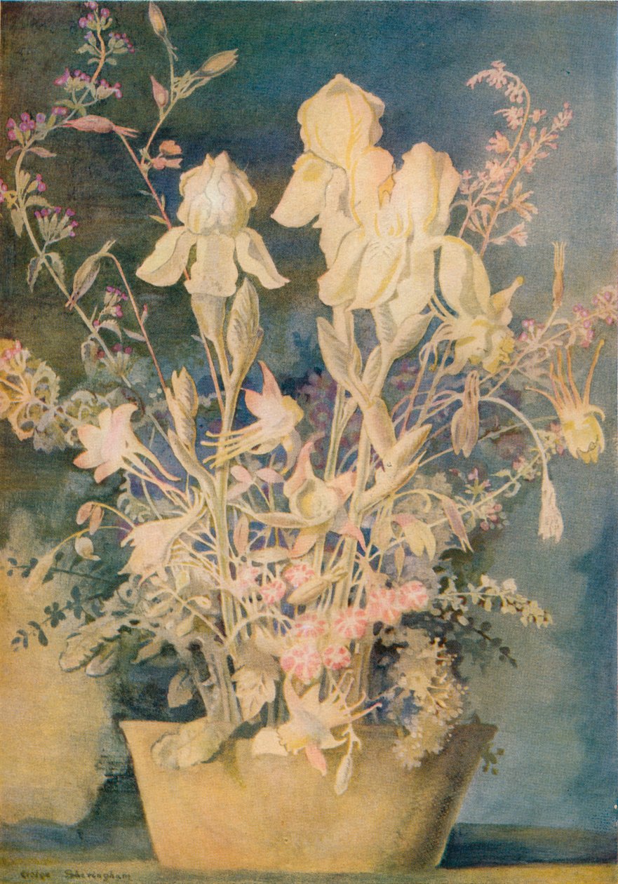 Pintura da flor por George Sheringham, c1910-1920, 1936. de George Sheringham