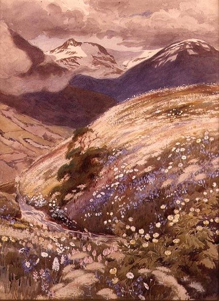 Flores Alpinas (aguarela sobre papel) de George Soper