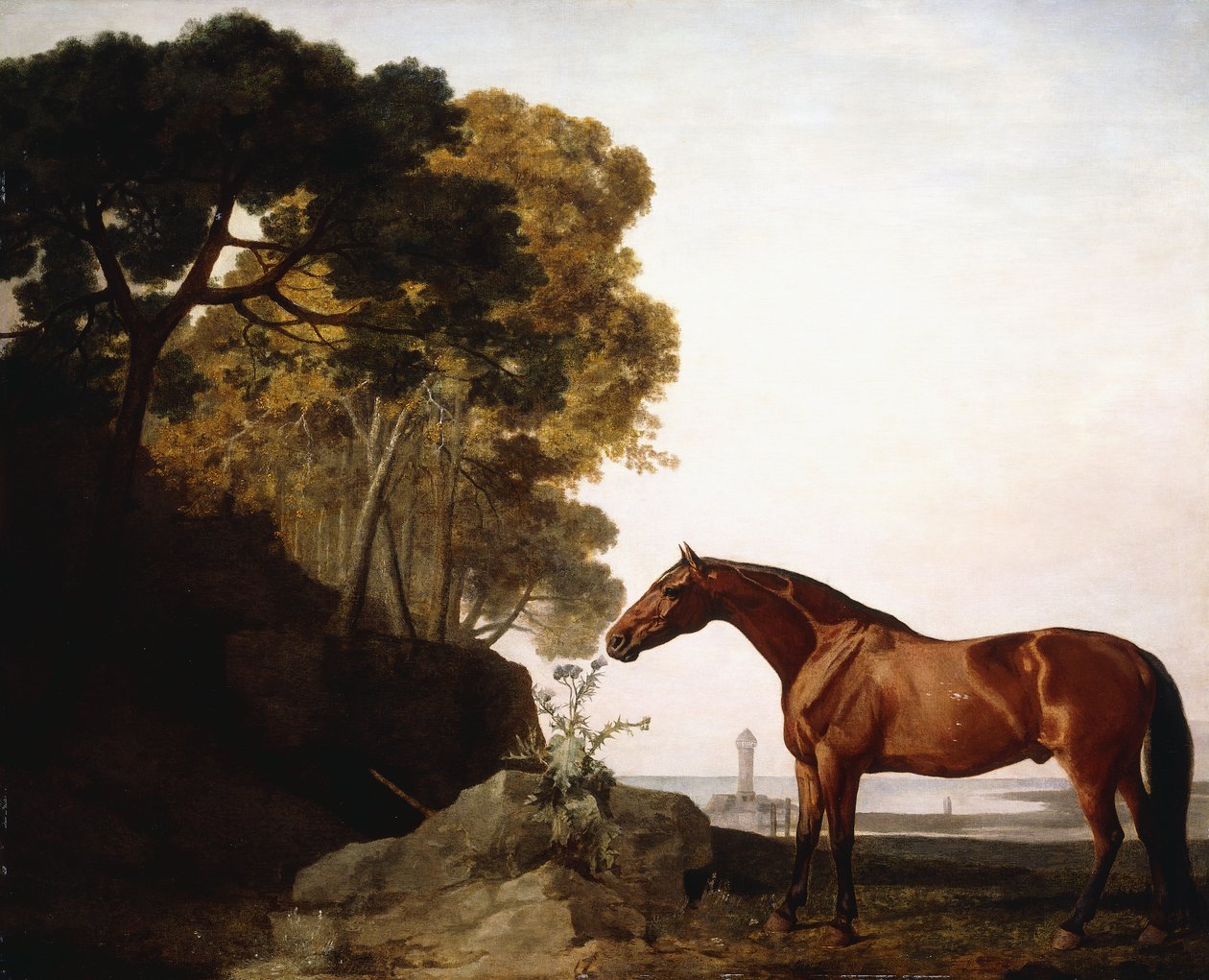 Um árabe da baía em uma paisagem costeira, 1779 de George Stubbs