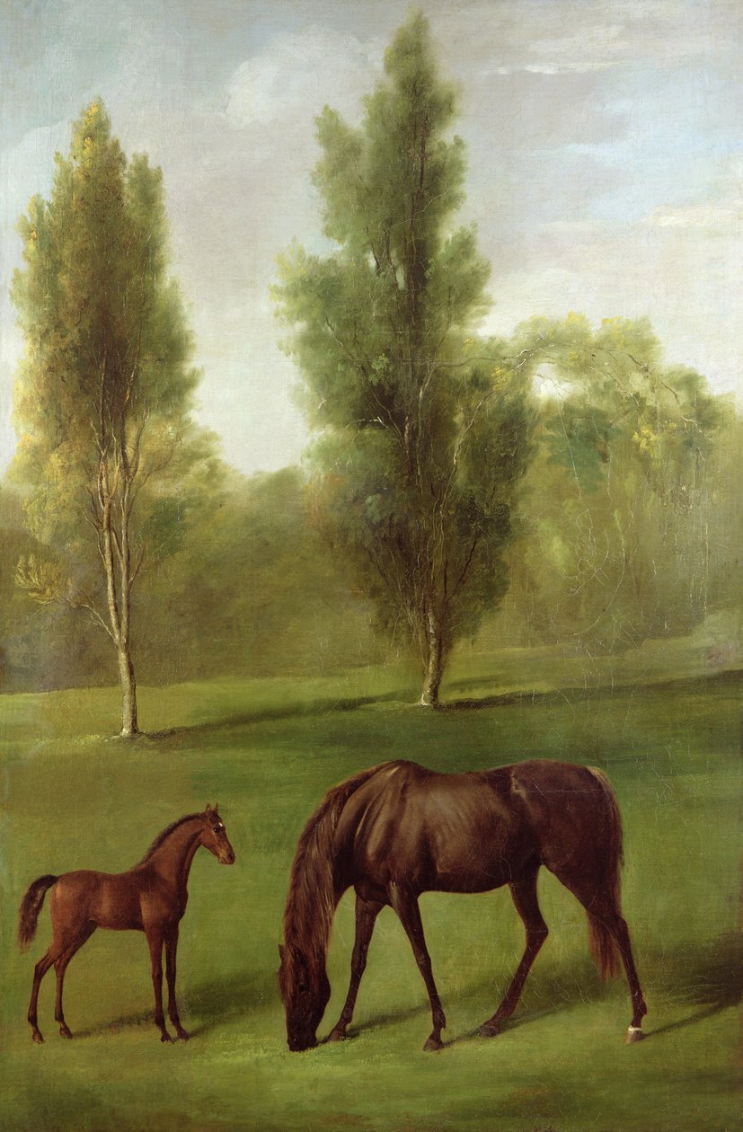 Uma Égua e Potros em uma Paisagem arborizada, c.1761-63 (óleo sobre tela) de George Stubbs