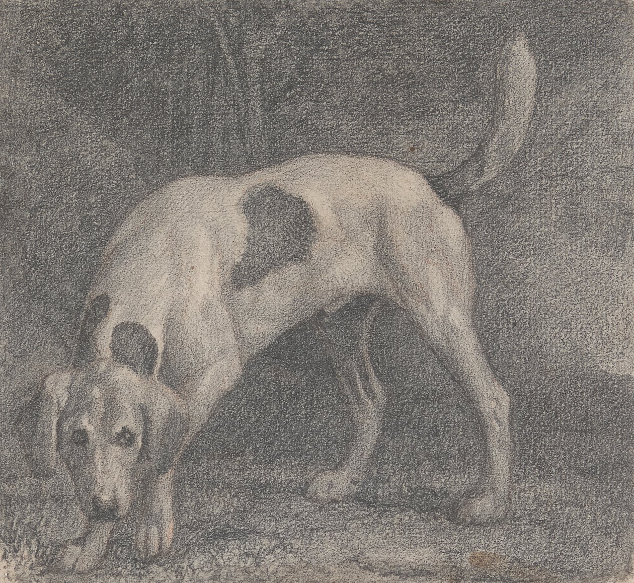 Um Foxhound no cheiro de George Stubbs