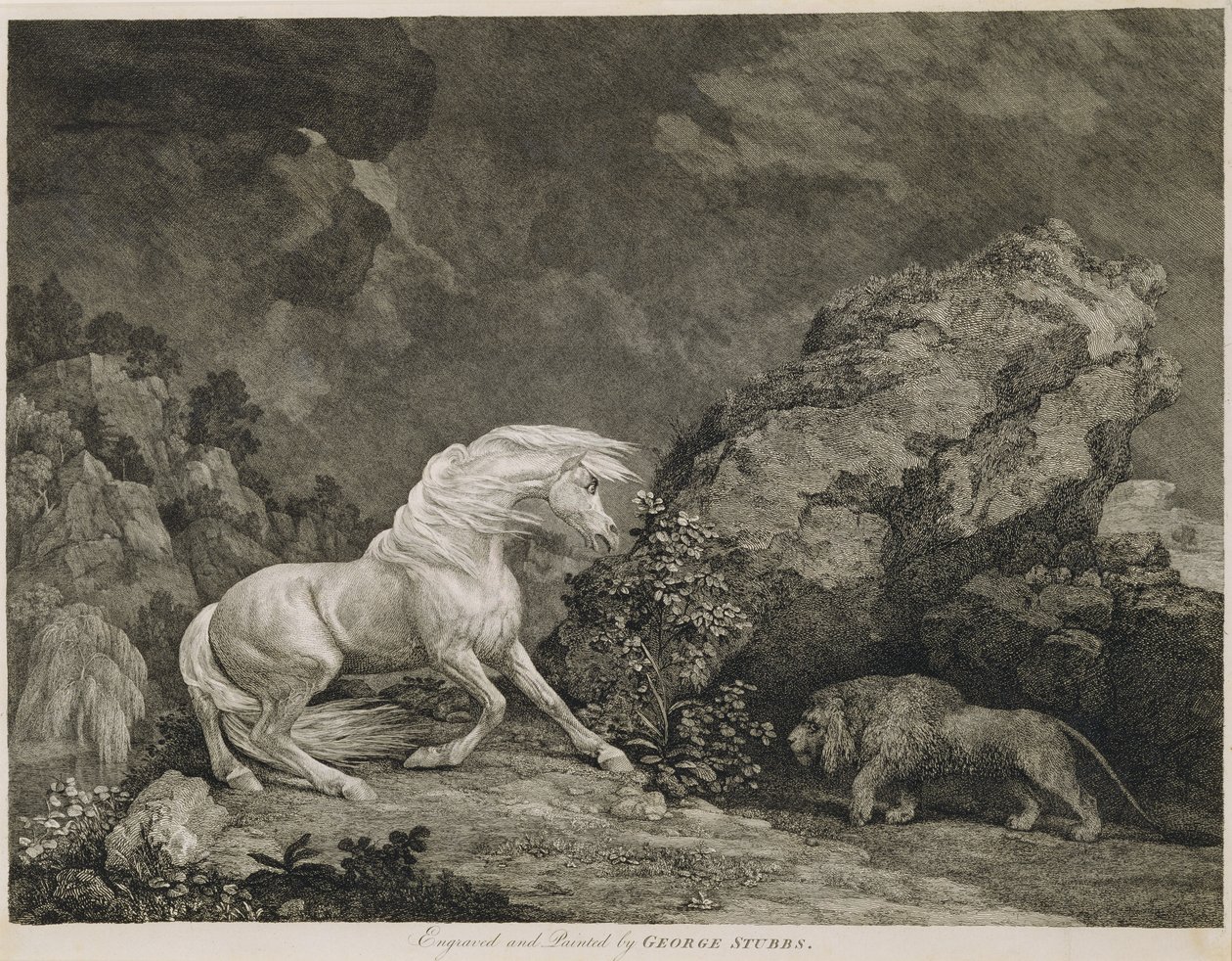 Um cavalo assediado por um leão, gravado pelo artista de George Stubbs