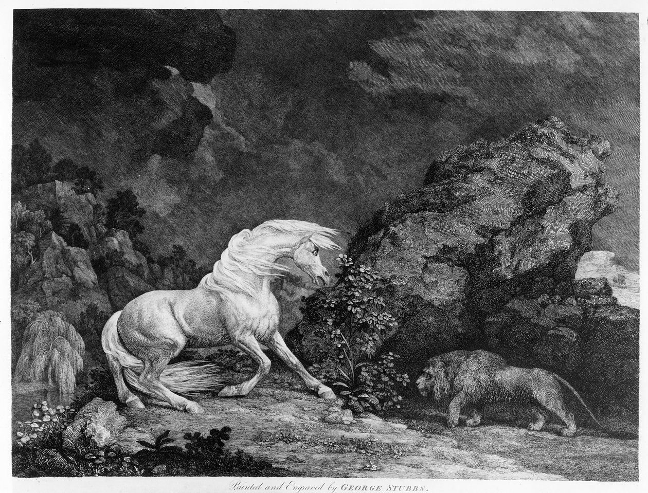 Um cavalo assediado por um leão, gravado pelo artista, 1777 de George Stubbs