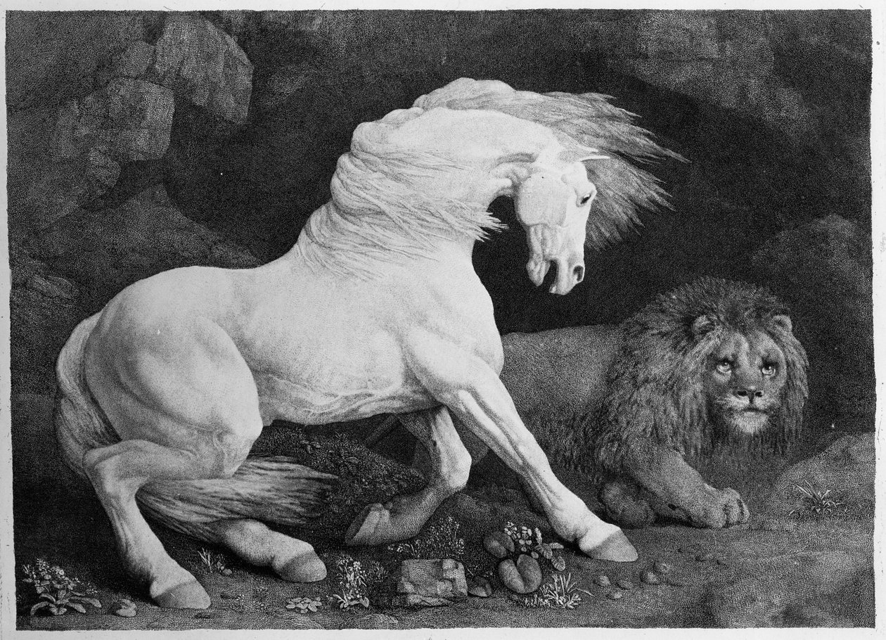 Um cavalo temerado por um leão, gravado pelo artista, 1788 de George Stubbs